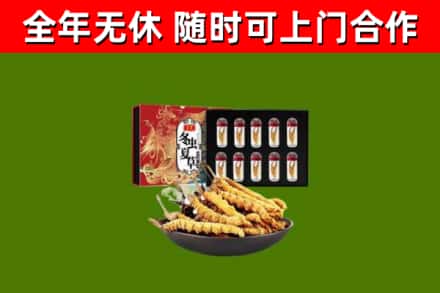 汕尾市回收冬虫夏草价格